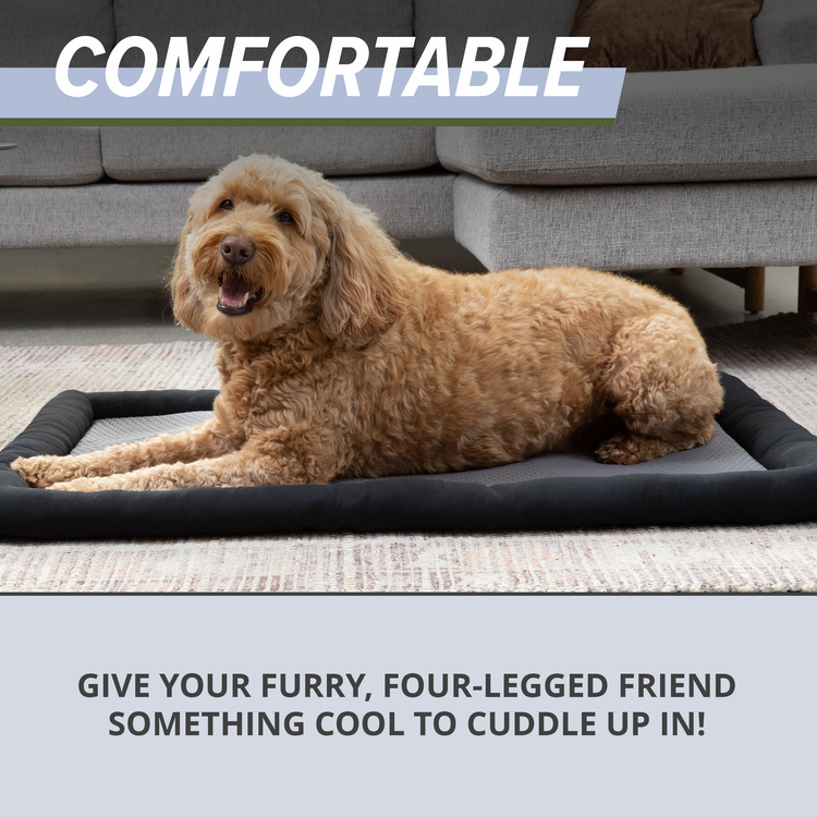 Cooling Dog Mat