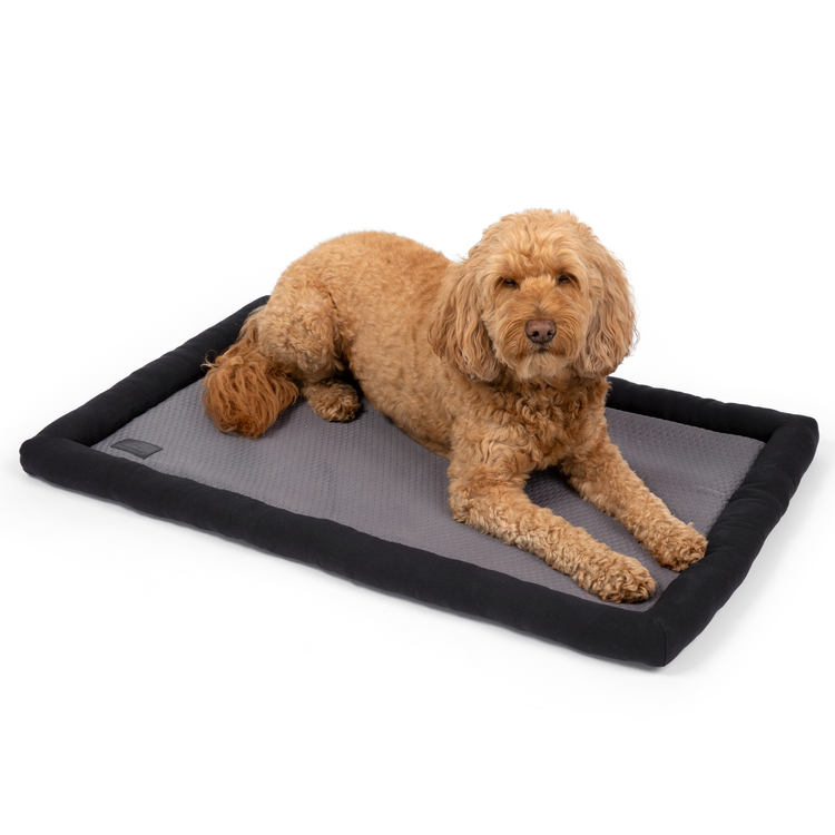 Cooling Dog Mat
