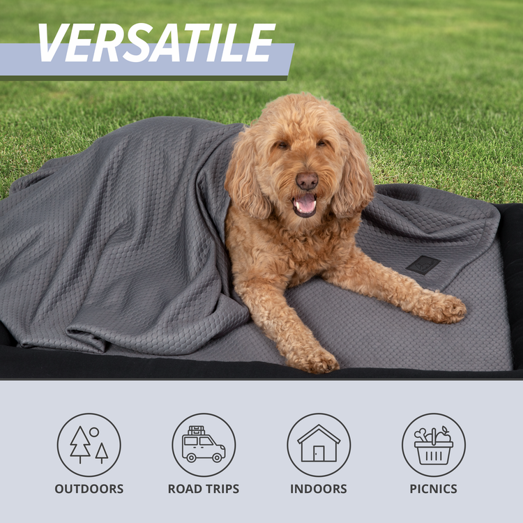 Cooling Dog Mat