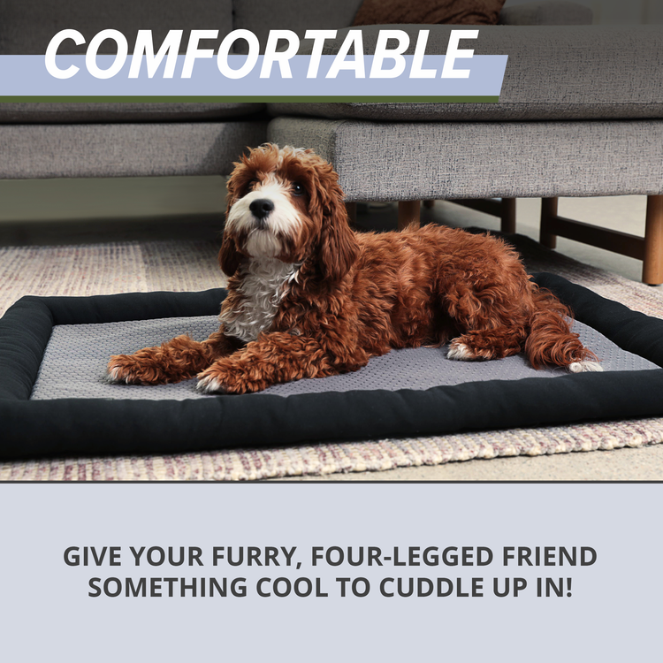 Cooling Dog Mat