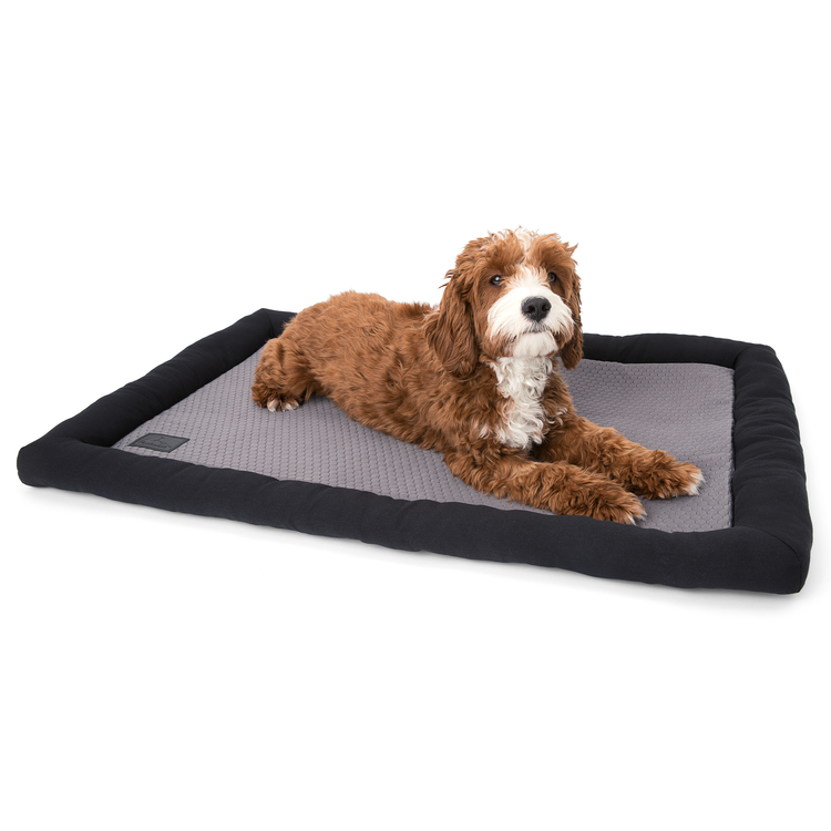 Cooling Dog Mat