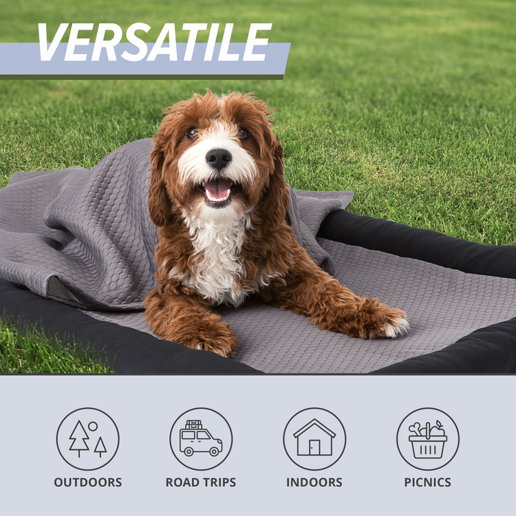 Cooling Dog Mat