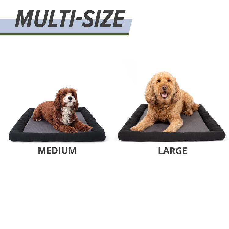Cooling Dog Mat