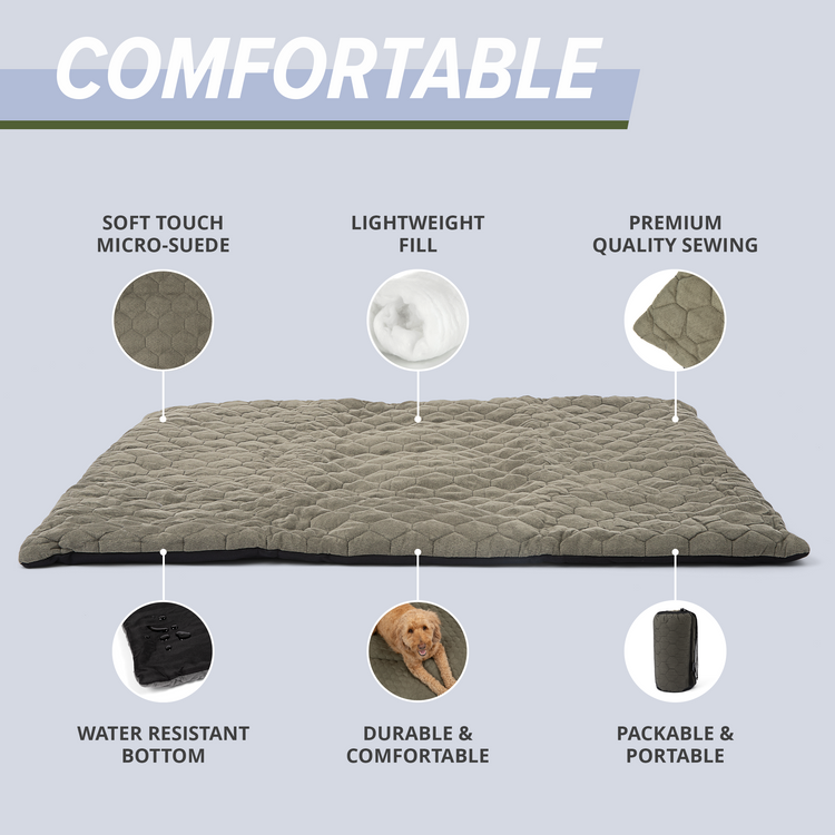 Outdoor Dog Bed