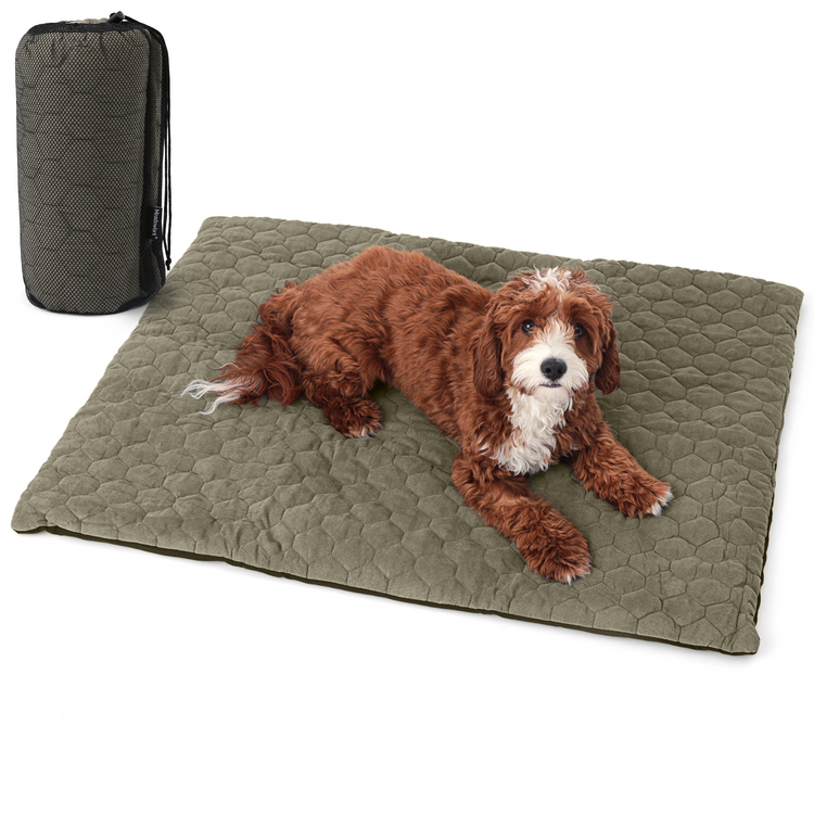 Outdoor Dog Bed