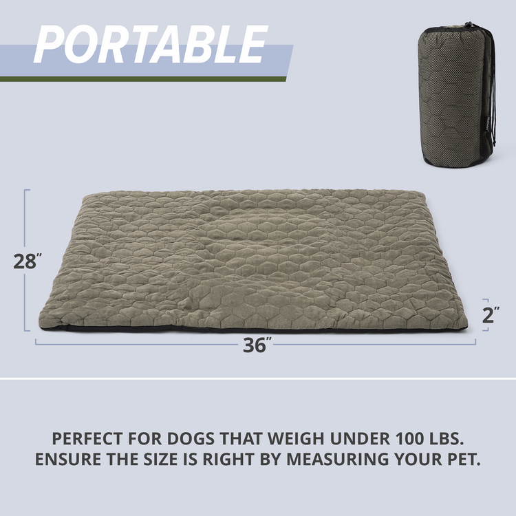 Outdoor Dog Bed
