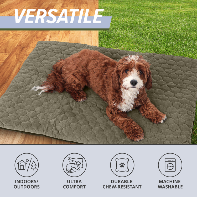 Outdoor Dog Bed