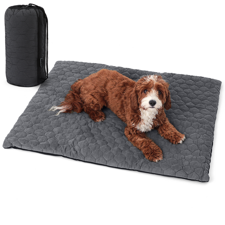 Outdoor Dog Bed