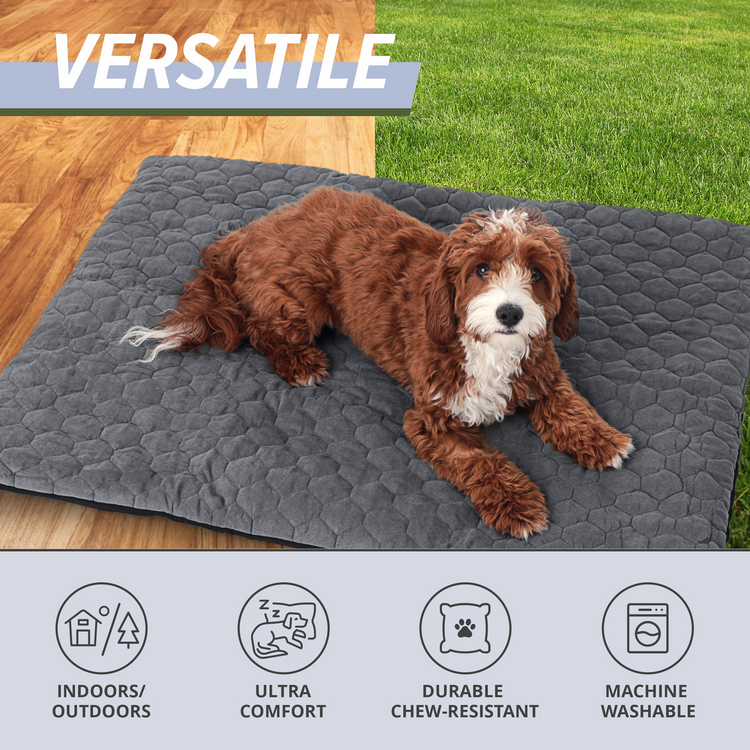 Outdoor Dog Bed