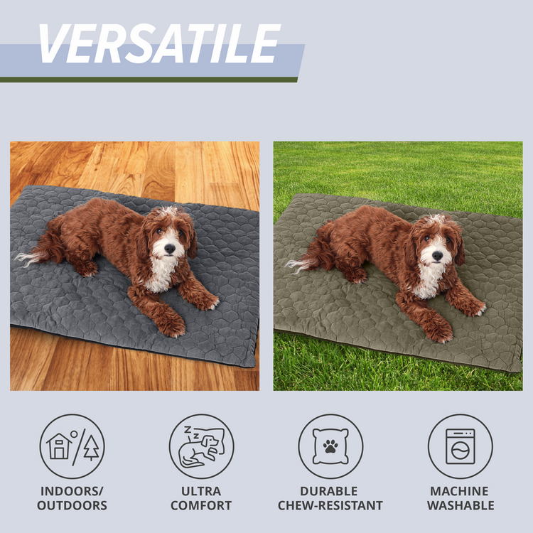 Outdoor Dog Bed