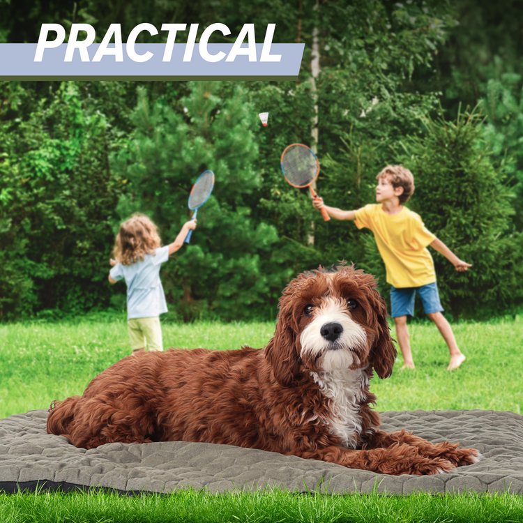 Outdoor Dog Bed
