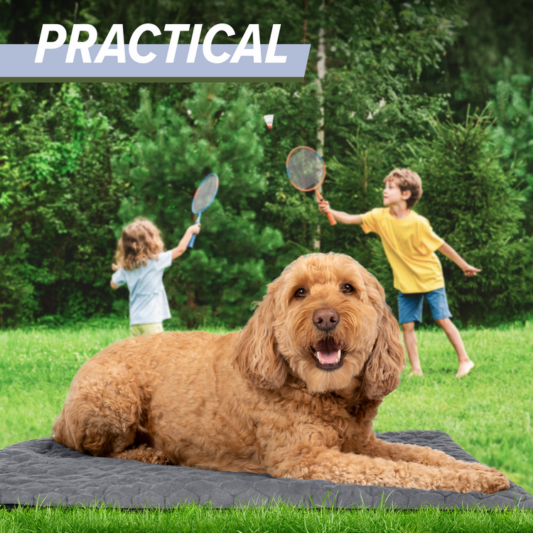 Outdoor Dog Bed